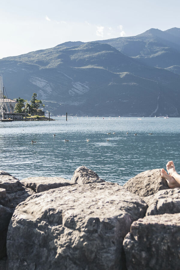 Hotel Bellariva 4 stars Riva del Garda – Lakefront View & Adults-Friendly Hospitality Bellariva srl | Lake of Garda